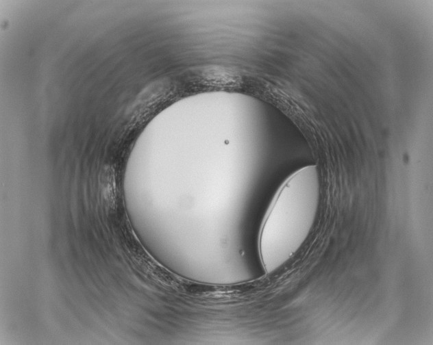 X0000059810320200510210928