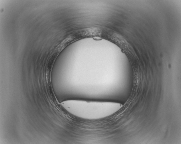 X0000059810326200510210928