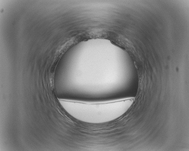 X0000059810335200510210928