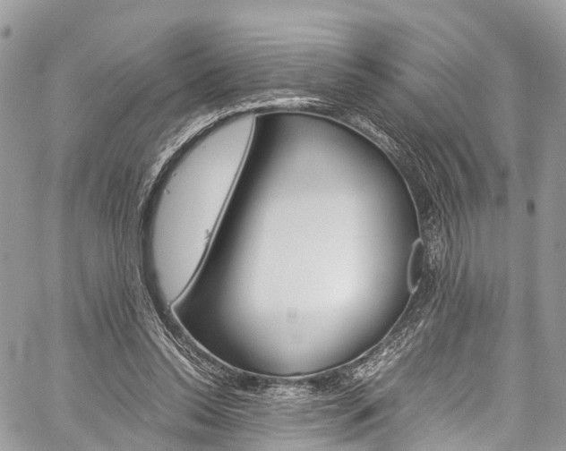 X0000059810350200510210927