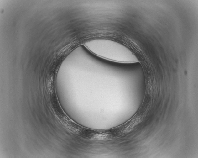 X0000059810364200510210928
