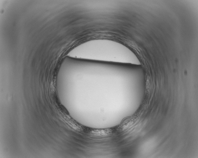 X0000059810381200510210928