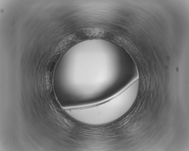 X0000059810416200510210927