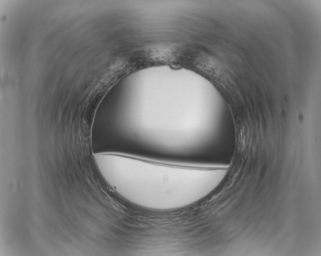 X0000059810424200510210927