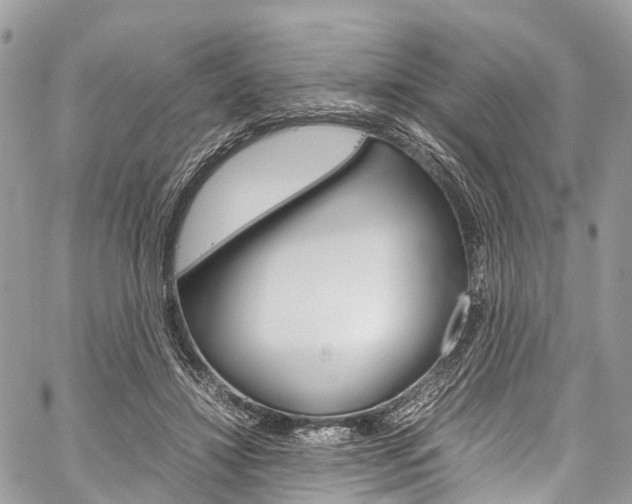 X0000059810452200510210926