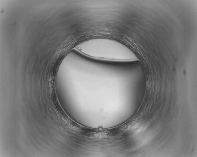 X0000059810462200510210926