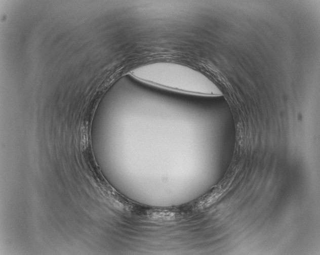 X0000059810471200510210926