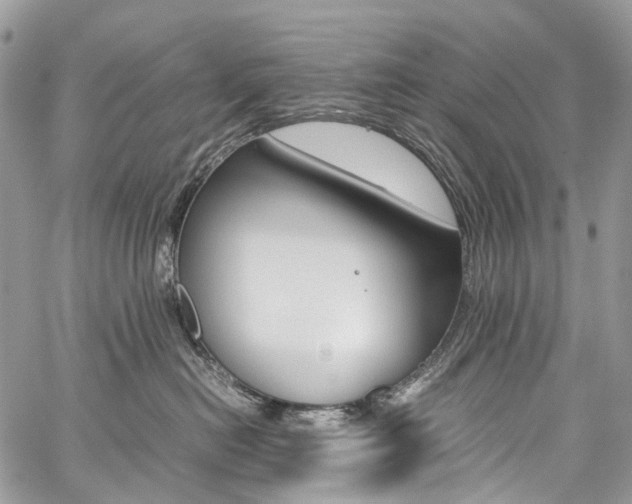 X0000059810478200510210926