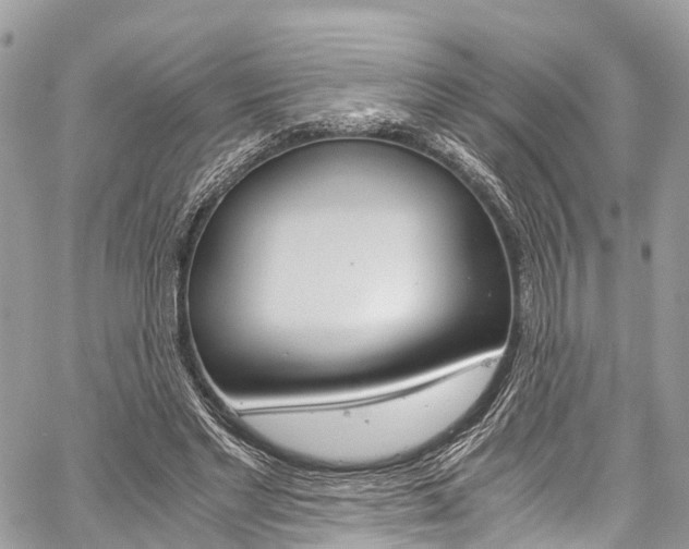 X0000059810493200510210925