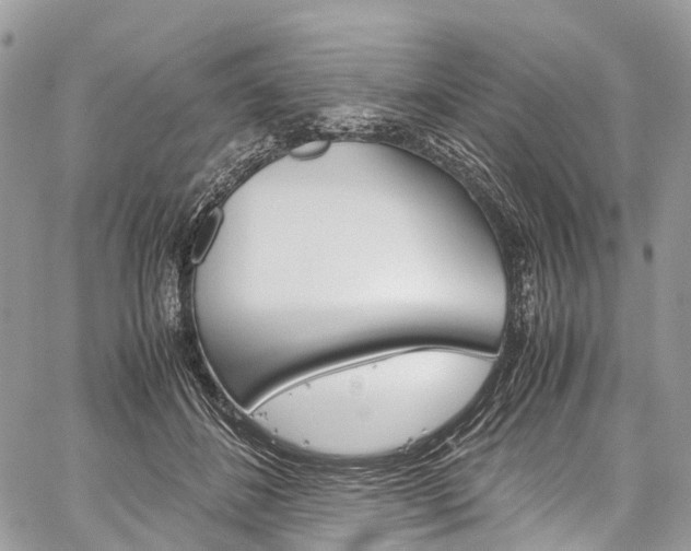 X0000059810508200510210925
