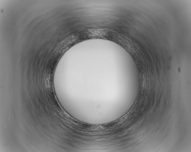 X0000059810514200510210925