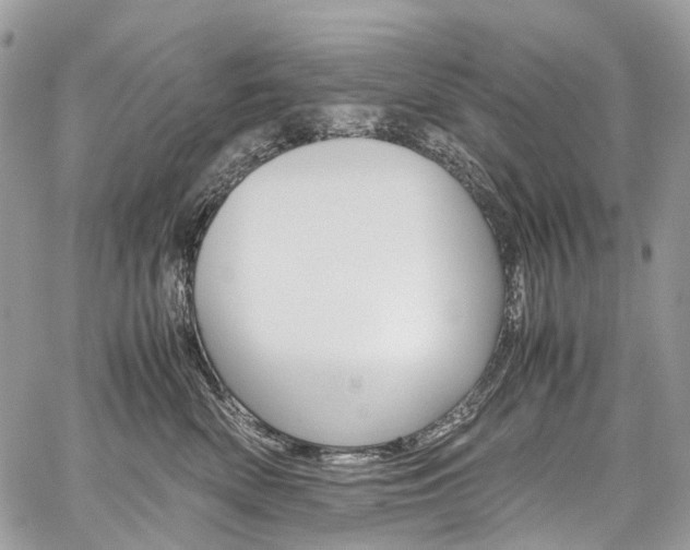 X0000059810522200510210925