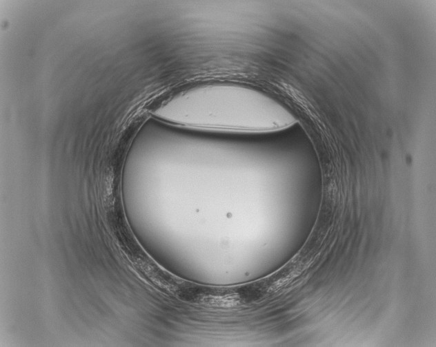 X0000059810548200510210924