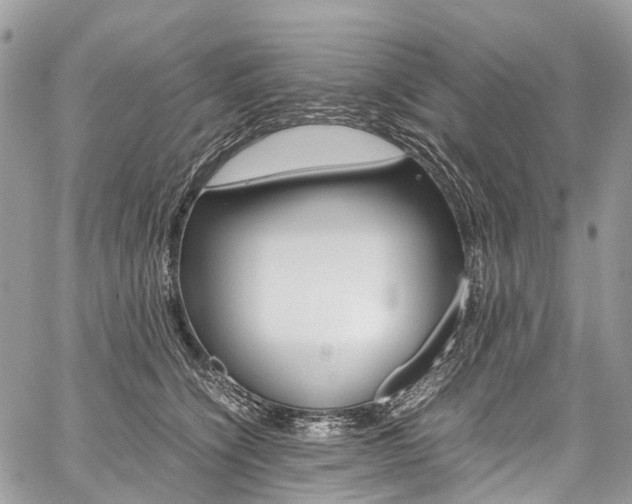 X0000059810564200510210925
