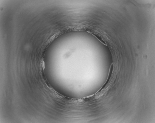 X0000059810576200510210925