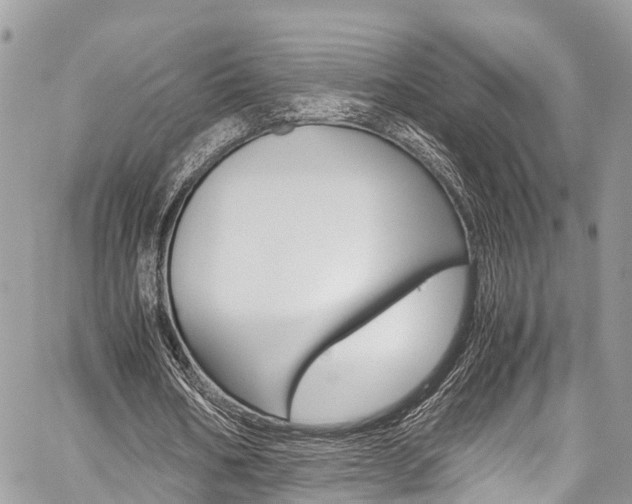 X0000059810578200510210924