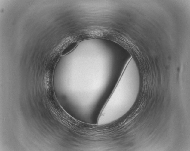 X0000059810600200510210924