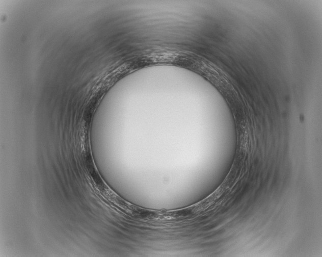 X0000059810604200510210924
