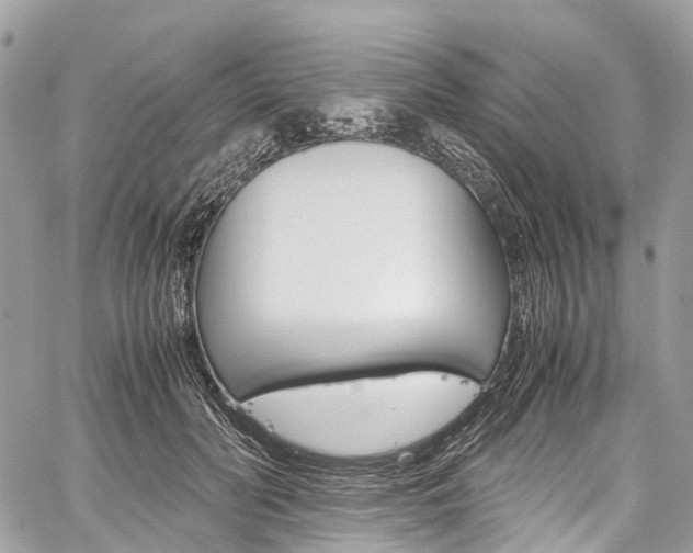 X0000059810606200510210924