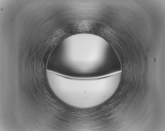 X0000059810608200510210924