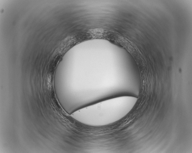 X0000059810610200510210924
