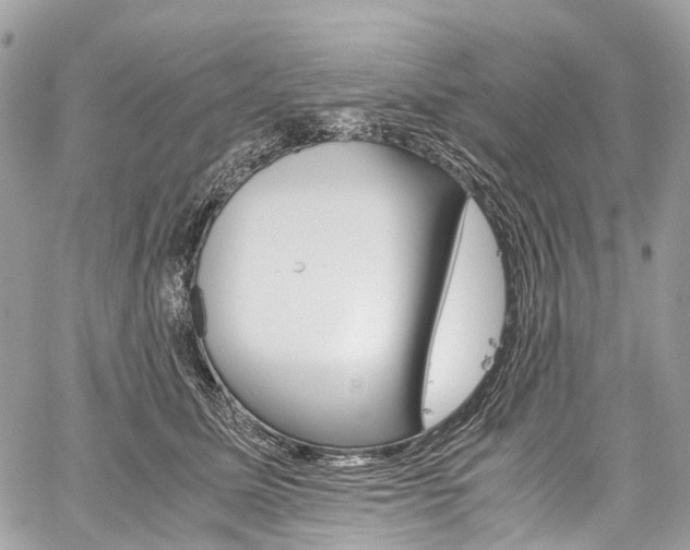 X0000059810611200510210924