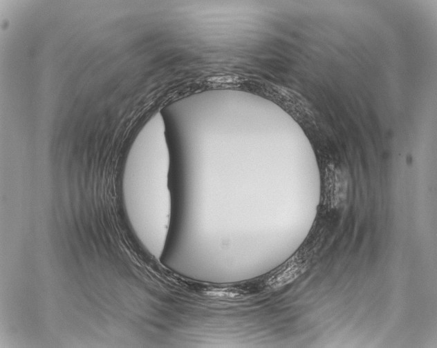 X0000059810614200510210923