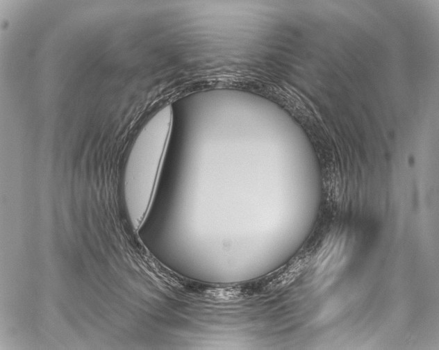 X0000059810660200510210923