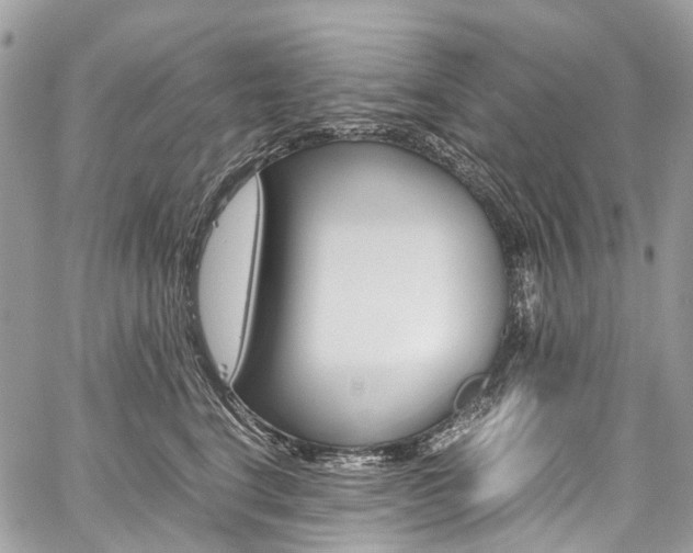 X0000059810664200510210923