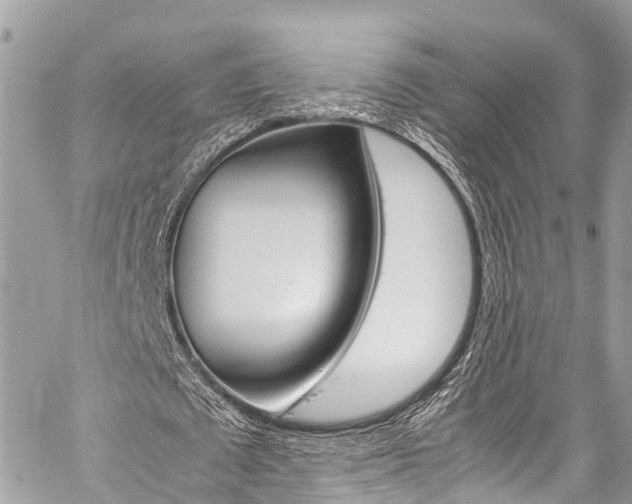 X0000059810673200510210922