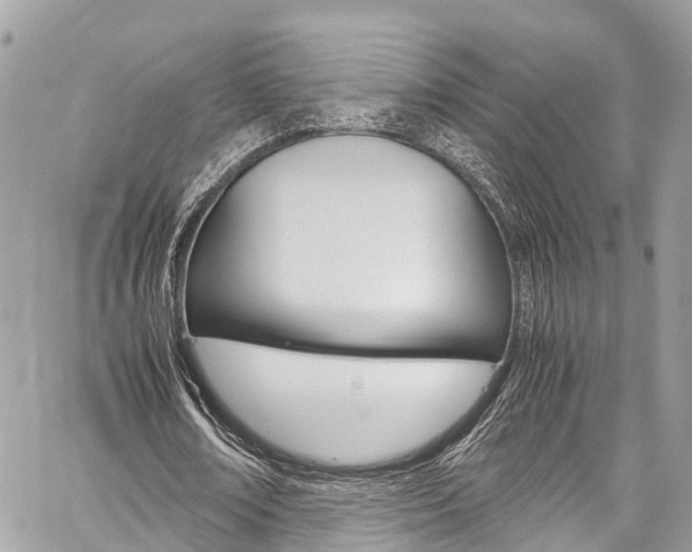 X0000059810674200510210922