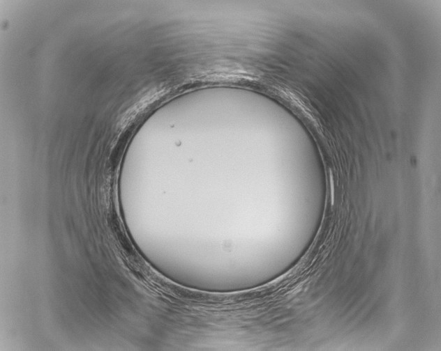 X0000059810675200510210922