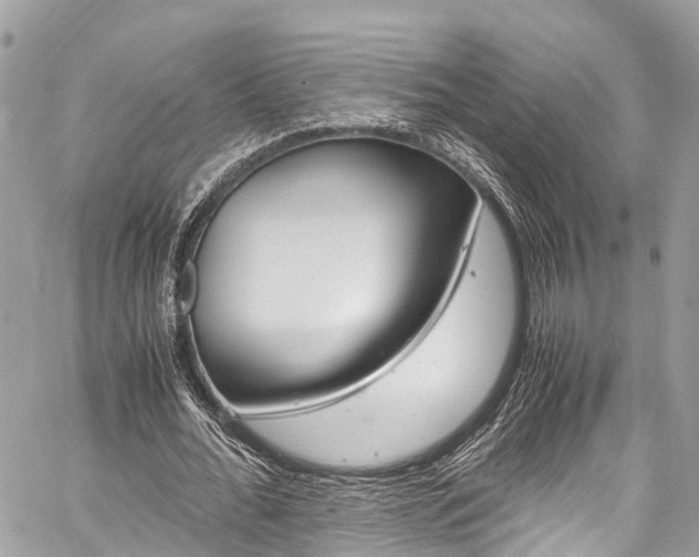 X0000059810676200510210922