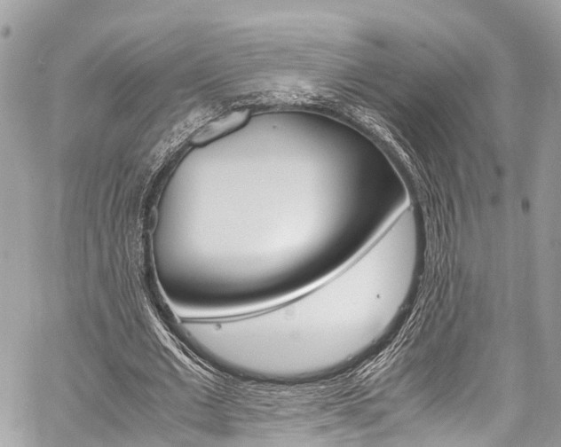 X0000059810677200510210922