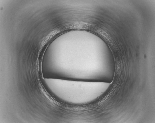 X0000059810678200510210922