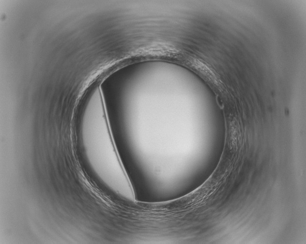 X0000059810680200510210922