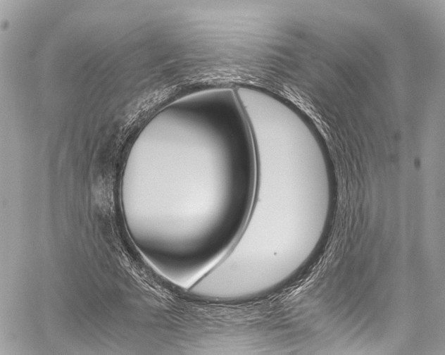 X0000059810681200510210922