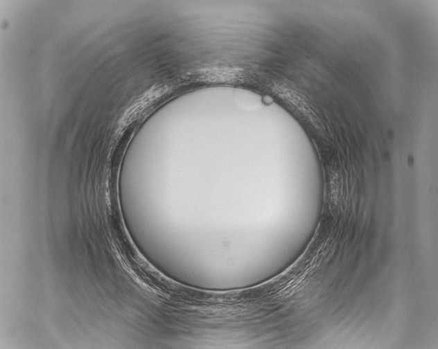 X0000059810682200510210922