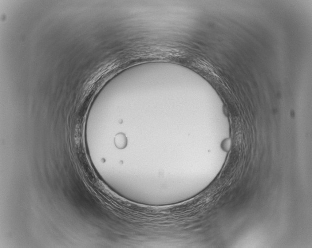 X0000059810683200510210922