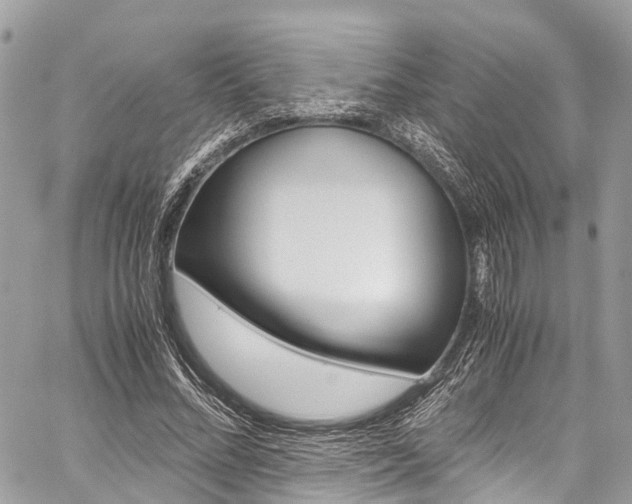 X0000059810684200510210922