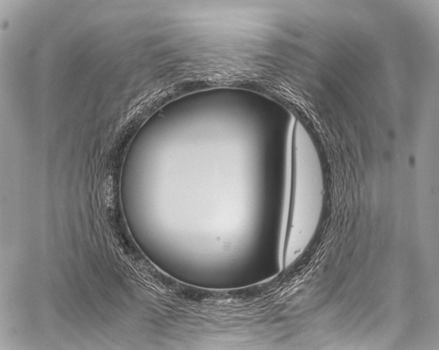 X0000059810689200510210922