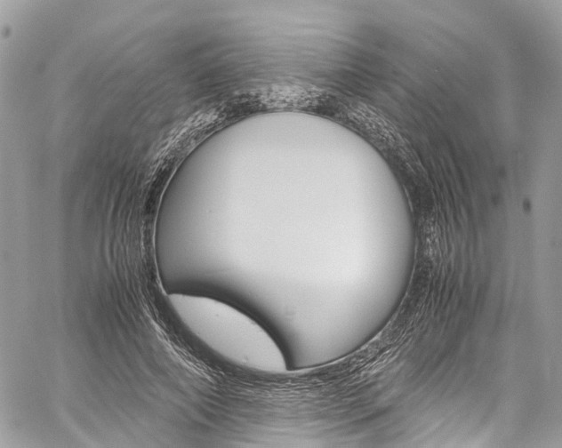 X0000059810690200510210922