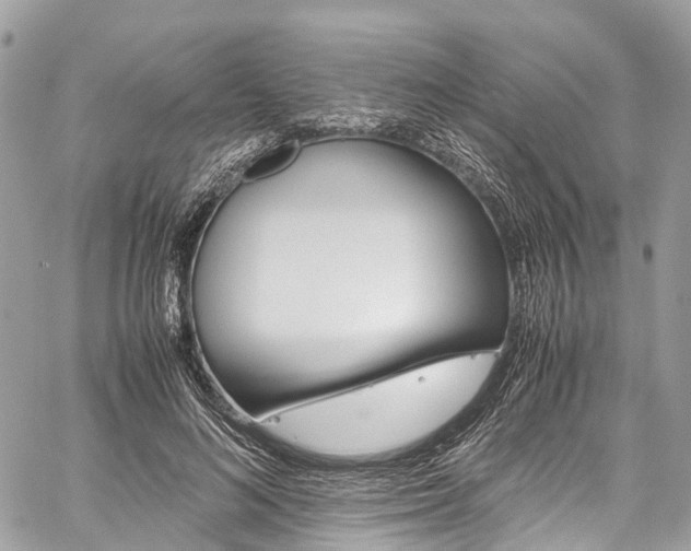 X0000059810692200510210922