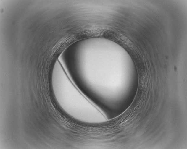 X0000059810693200510210922