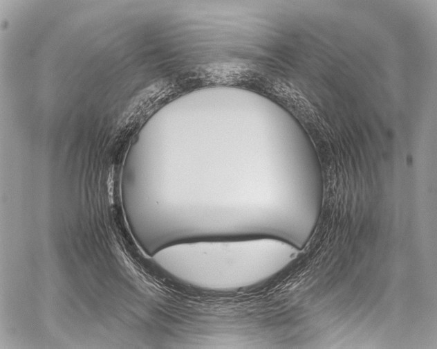 X0000059810694200510210922