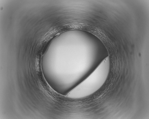 X0000059810696200510210922