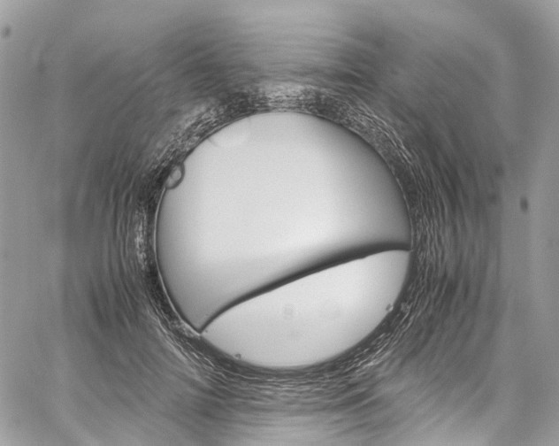 X0000059810698200510210922