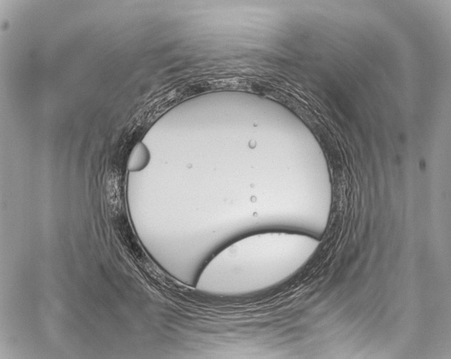 X0000059810699200510210922