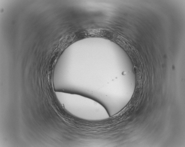 X0000059810703200510210922