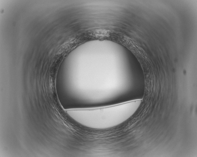 X0000059810704200510210922